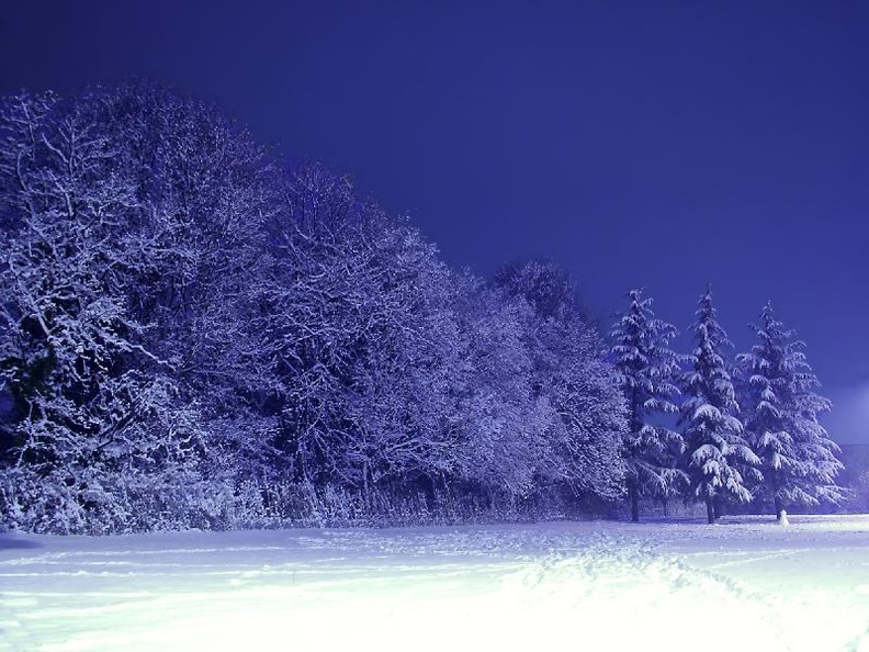 031 - A frozen rise